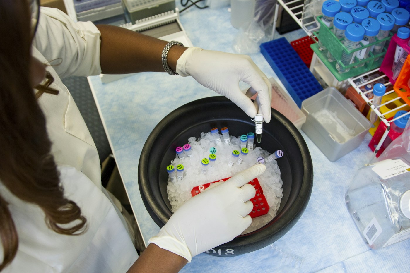 Illustrative photograph: Laboratory researcher preparing samples